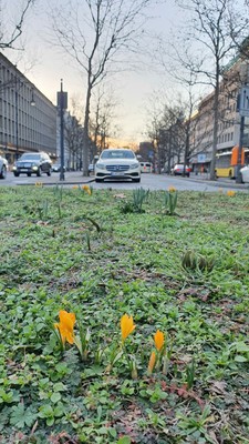 Frühling